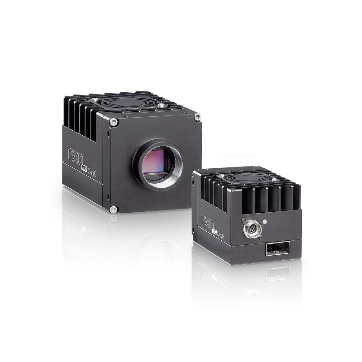 fxo 100gige
