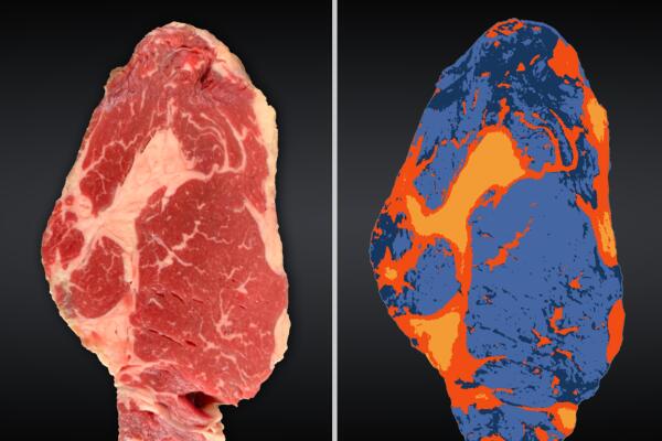 FandB Application Goldeye Alvium SWIR