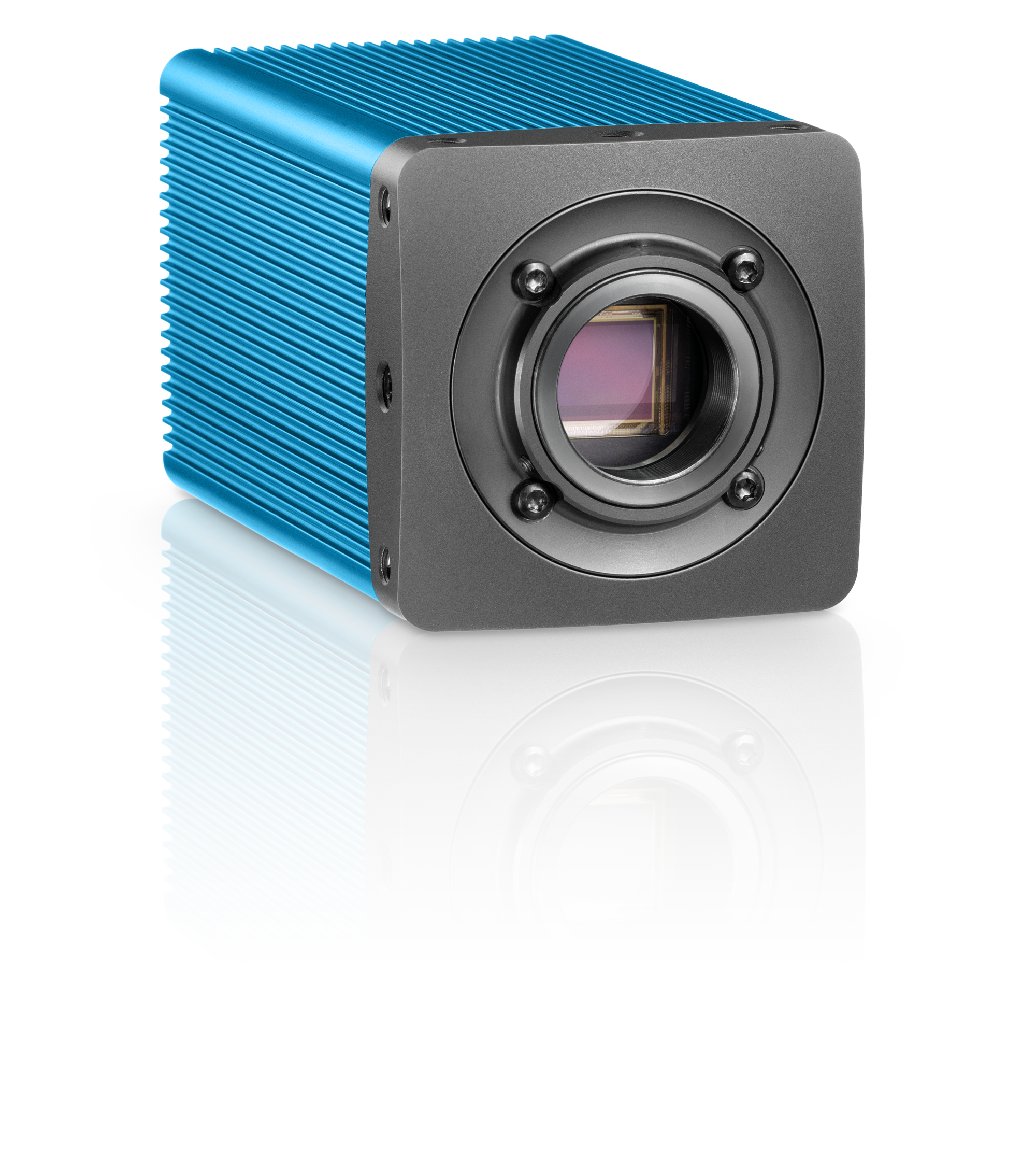 QUAD1.1SMGE-CM8