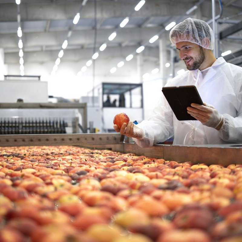 Cameras check apples on conveyor belt