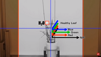 Visible spectrum, NIR, SWIR, LWIR ... we make light on which spectral sensitivity will work best for your machine vision application.