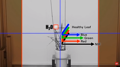 Visible spectrum, NIR, SWIR, LWIR ... we make light on which spectral sensitivity will work best for your machine vision application.